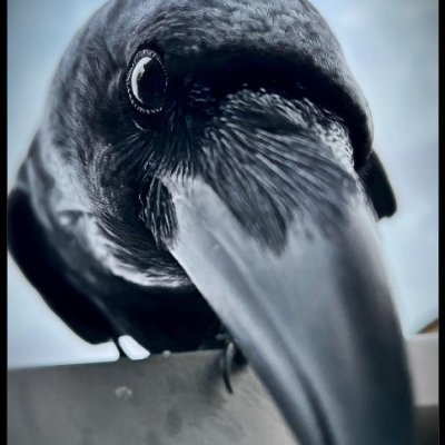 ChicomMadrid's profile picture. 
