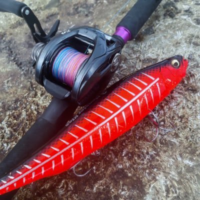 kaki01985's profile picture. 和歌山で自作ベイトロッドで釣りしてます！！
あじんぐとビッグベイトだいすきおじさんです。