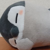 KOA (@koa165986) 's Twitter Profile Photo