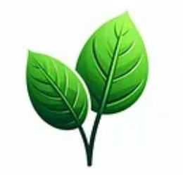 IMTL4937's profile picture. CEO : Pongsiri Imnuch