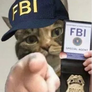 Dav09426028's profile picture. 纯gay bottom/恐犬猫类/不键政/黄推远离