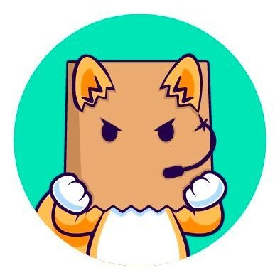 Launch BAGZ Profile