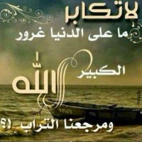 hlalyh (@hlalyh49490) Twitter profile photo