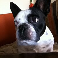 Sam Oesterling (@soesterling) 's Twitter Profile