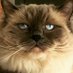 Floyd (@floyd1463834) Twitter profile photo Floyd (@floyd1463834) Twitter profile photo