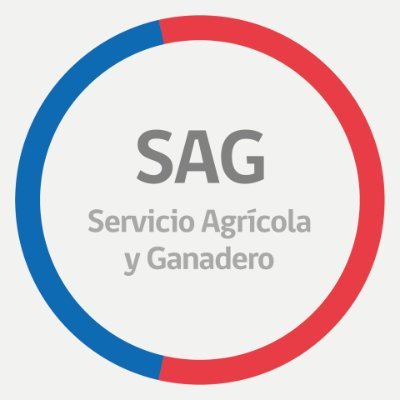 sagchile Profile Picture