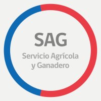 SAG(@sagchile) 's Twitter Profile Photo