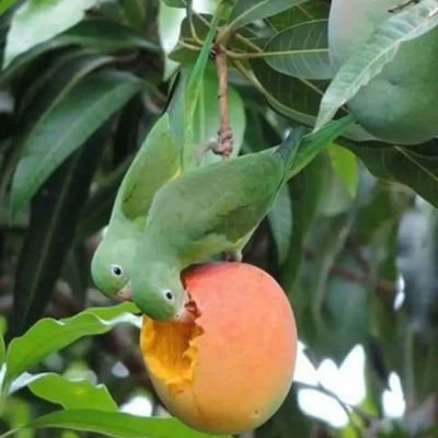 a39ea7d551a6469's profile picture. 