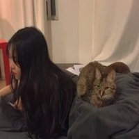 美和 (@mih1567649) 's Twitter Profile