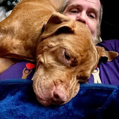 OldMacAdmin's profile picture. MacAdmin since 1991, MacTech since 1985, can speak Linux and Windows as well.