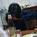 มิตรภาพและความลับ (@ntklwyky169314) Twitter profile photo มิตรภาพและความลับ (@ntklwyky169314) Twitter profile photo