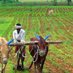 @mahendra Choudhary (@mahendr03085109) Twitter profile photo @mahendra Choudhary (@mahendr03085109) Twitter profile photo
