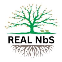 REAL NbS Project (@realnbs4land) 's Twitter Profile Photo REAL NbS Project (@realnbs4land) 's Twitter Profile Photo