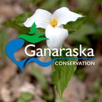 Ganaraska Conservation(@GanaraskaCA) 's Twitter Profile Photo