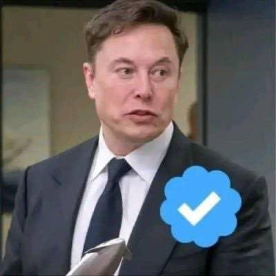 Founder, CEO, and chief engineer of Spacex
* CEO and product architect of Tesla, Inc.
* Owner and CTO of X, formerly Twitter
* President of the Musk Foundation