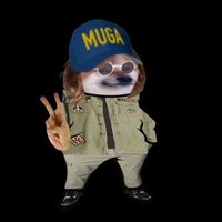 general bork 🐶(@EronelNosnhoj) 's Twitter Profile Photo