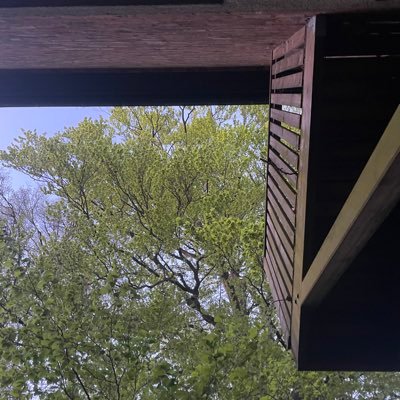 charliedonti's profile picture. 🏎️🏎️🏎️🏎️