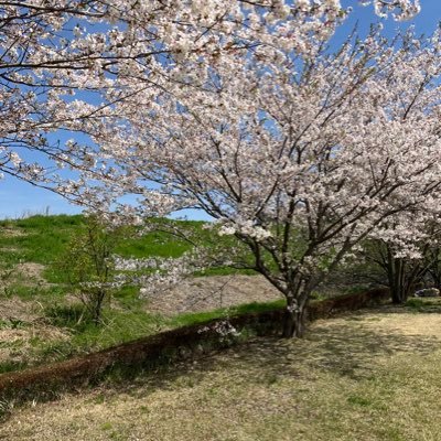 調べ物用のアカウントです。