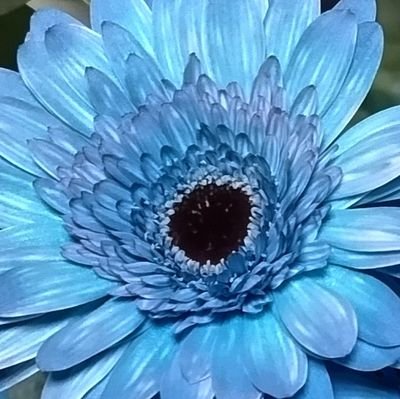 香さんのプロフィール画像