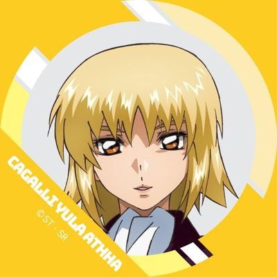 やるしかねー