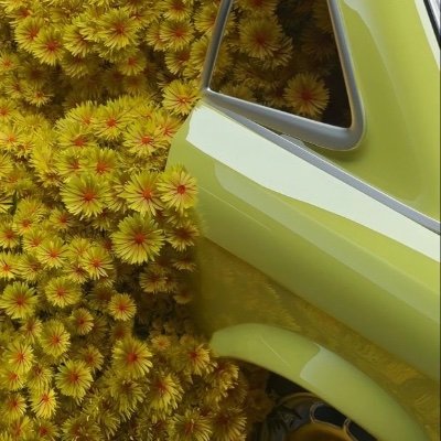 cojicoji2936's profile picture. 