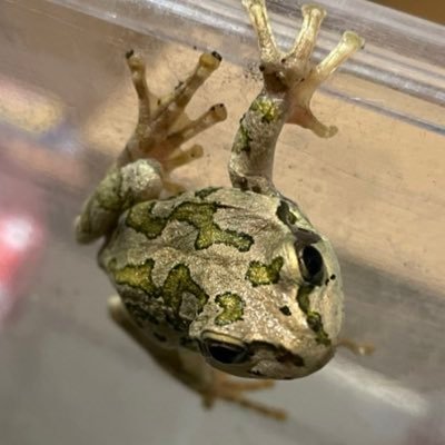 cacao_xx's profile picture. 