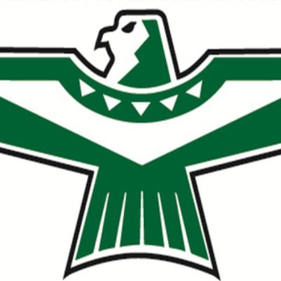 NC_Thunderbirds's profile picture. 