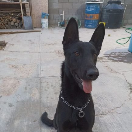 eeuaioo's profile picture. 