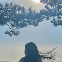 りく (@dahyonai) 's Twitter Profile