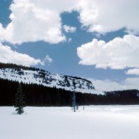 Patrick House (@patrickhou46674) 's Twitter Profile