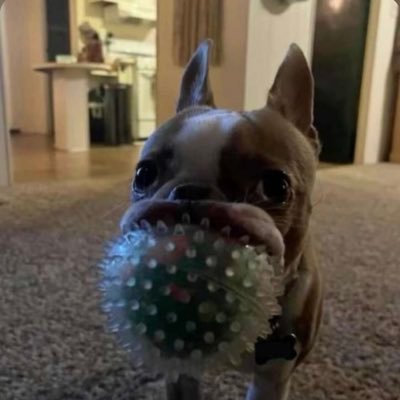 codeater94's profile picture. 