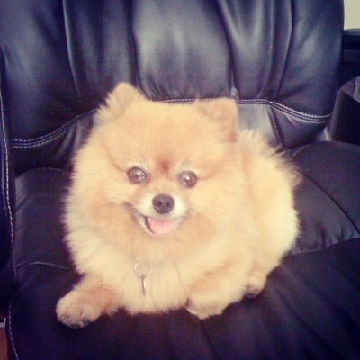 123CodeRed's profile picture. 