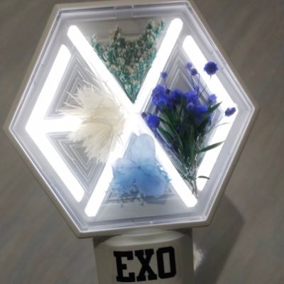 account for fangirling only, I'm
98.5 % EXO-L, 1% like SM Artist only not the agency, 0.5% other but fandom only exol