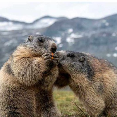 DeRRis95's profile picture. 