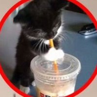 π΄π€ (@aesleepzzz) 's Twitter Profile