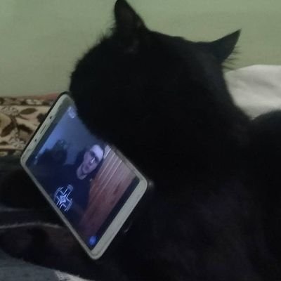 pan_kotskyu's profile picture. галицьке бидло 

русні пиzzда