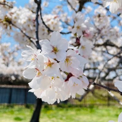 こんな好きな人に出会う季節二度とない