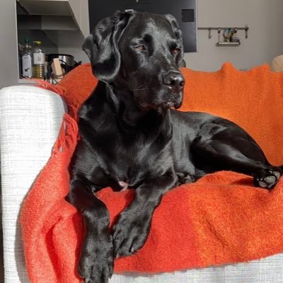 AngusSmart's profile picture. 