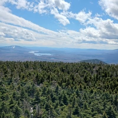 TheLauraEvans's profile picture. used to study ancient greek participles. now I just study pharmacology. it's about the same but now I have more debt.