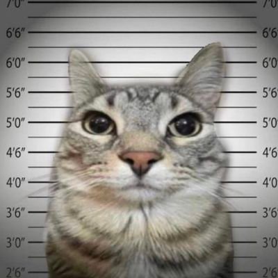 Pi22aaaa's profile picture. sup dude