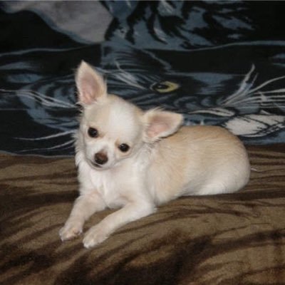 Ladybug287280's profile picture. 