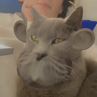 _antoin_'s profile picture. boum boum bang bang bing bing et poète