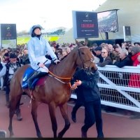 Taylr 🐎 (@tayz2017) 's Twitter Profile Photo Taylr 🐎 (@tayz2017) 's Twitter Profile Photo