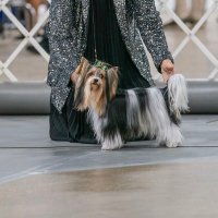 Barbara West (@grammybeebee) 's Twitter Profile Photo