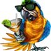 Drunk parrot (@drunk_parrot) Twitter profile photo