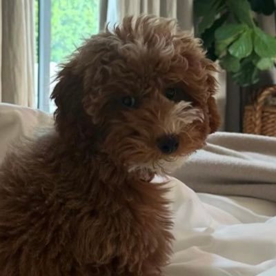 kirstar19's profile picture. God is a communist. Follow me on BlueSky @kirstar-19.bsky.social