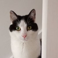 Matthew Leslie (@74_mattleslie) 's Twitter Profile