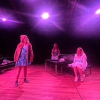 Wild Folly (@wildfolly) 's Twitter Profile