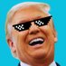 Donald J. Trump (parody) (@TRUMPSnewburner) Twitter profile photo