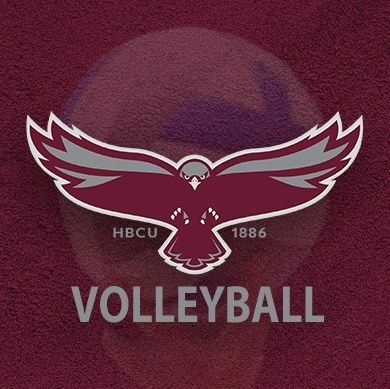 UMESHawksVBall Profile Picture